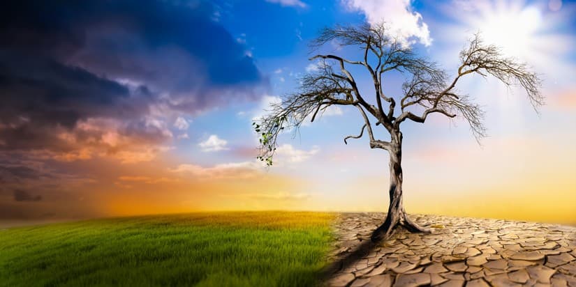 Understanding Climate Change: Facts vs. Fiction